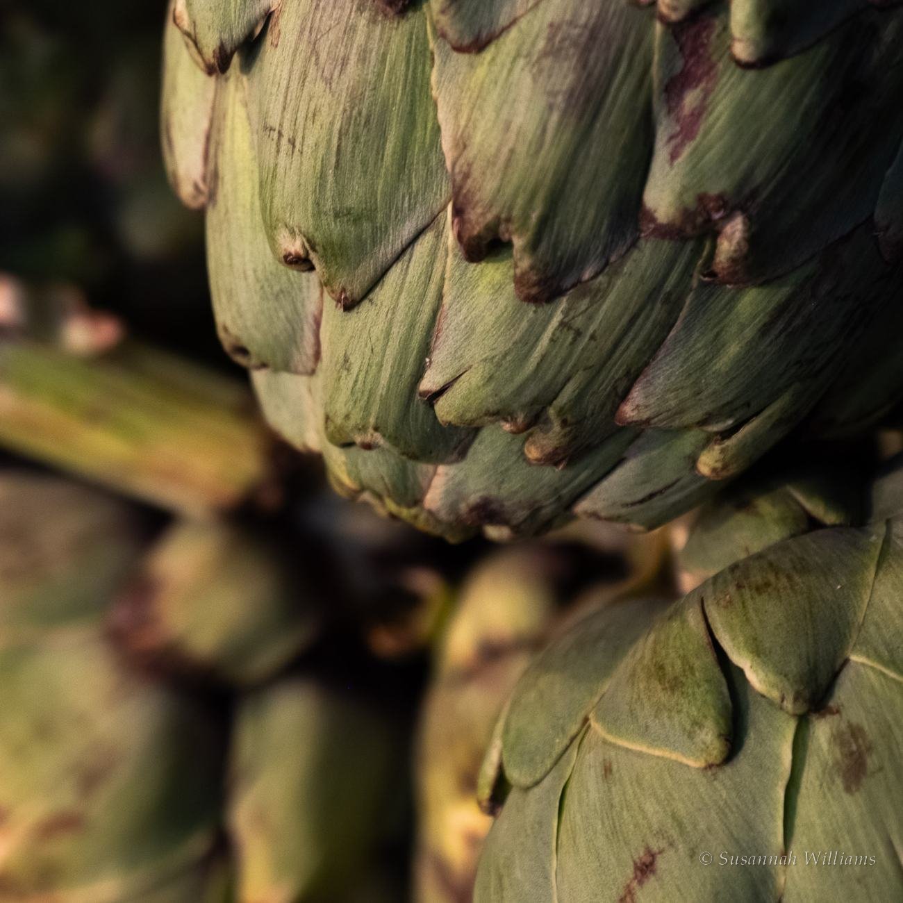 The layered leaves of an artichoke.