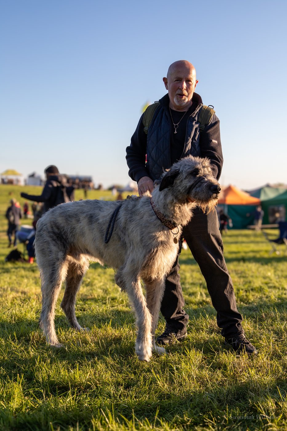 A man standing with a tall grey Irish wolfhound in the evening sun.