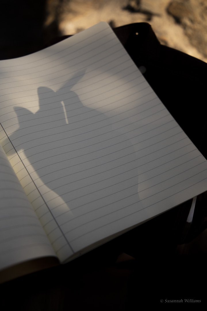 The shadow of a hand holding a pen falling across a blank lined notebook.