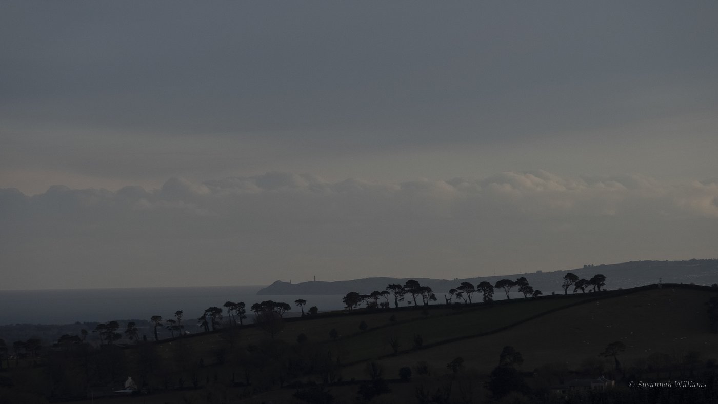 A row of windswept pines along a dark hillside, the sea and a distant headland under heavy grey cloud.