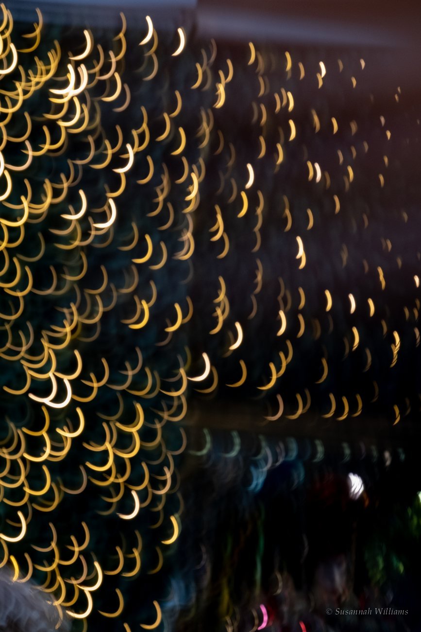 Out-of-focus lights drawn into golden crescents against the dark.