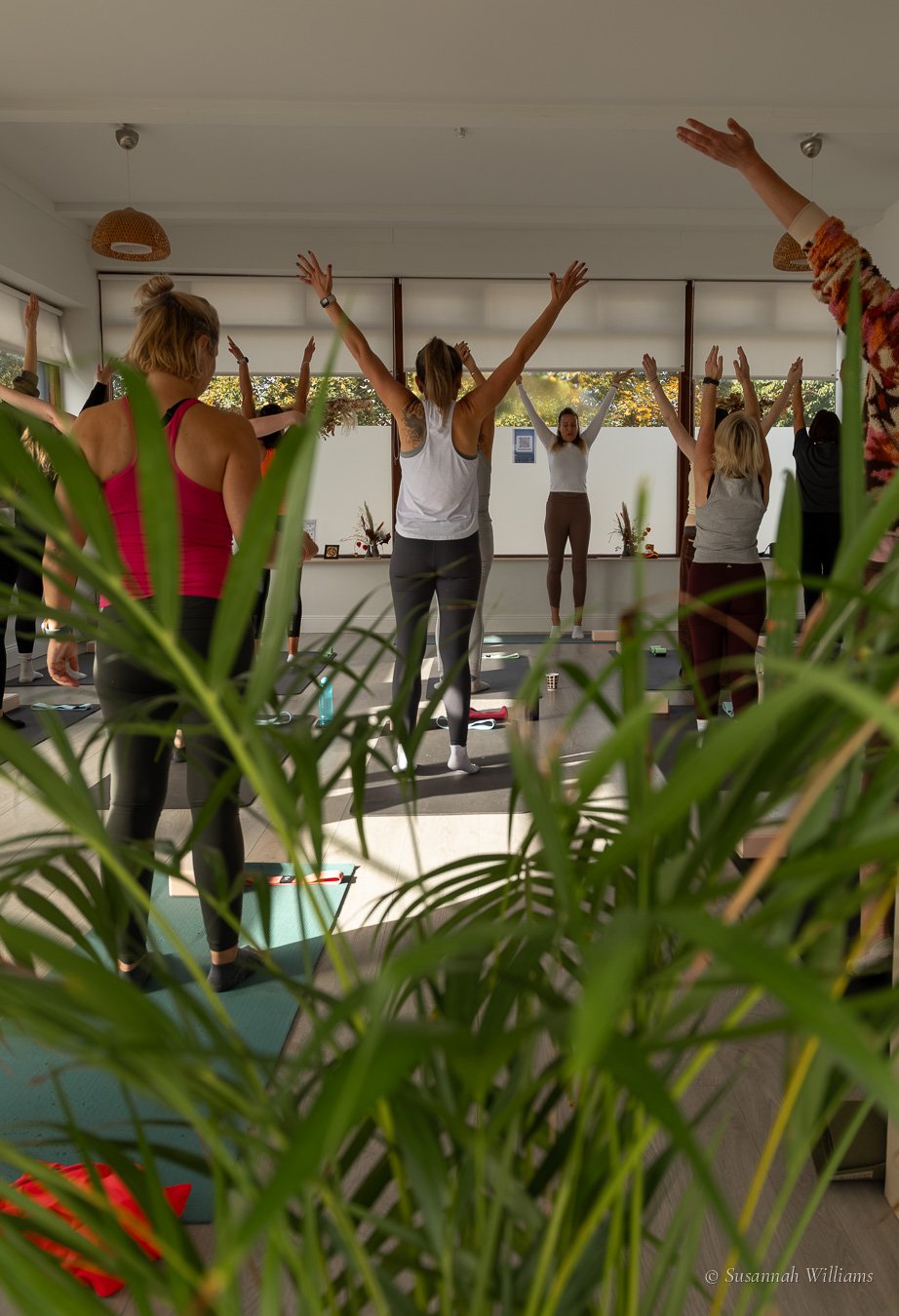The class with arms raised, seen through the leaves of a palm.